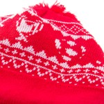 Copa Beanies