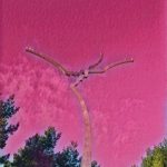 Dancers in Pink
